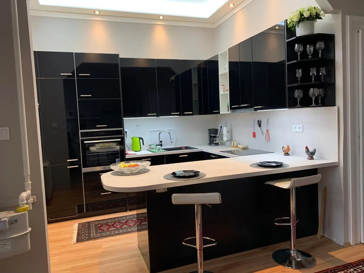 Budapest, Graf Teleki Laszlo Appartement location
